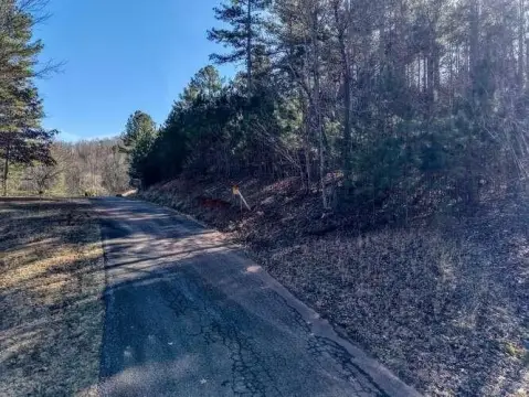 Blairsville Vacant Lot with Views