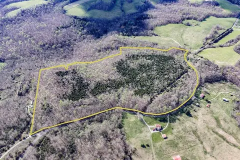 55 Acres in Leitchfield, KY