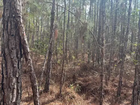 Polk City Recreational Acreage