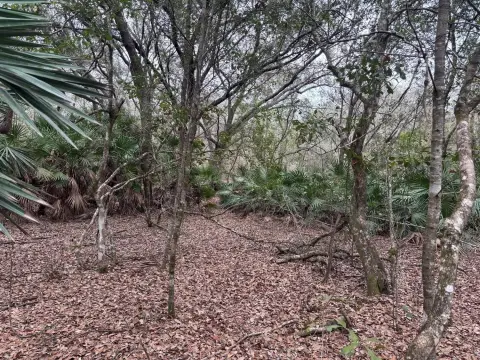 Polk City Acreage for Recreation