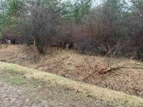 Land in Sugar Springs Community