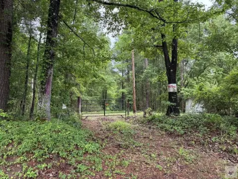 Timbered Hunting Land