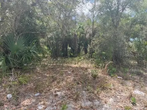 Residential Lot in North Port