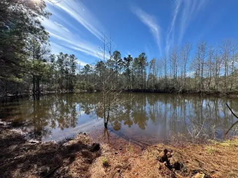 Grapeland Acreage with Pond