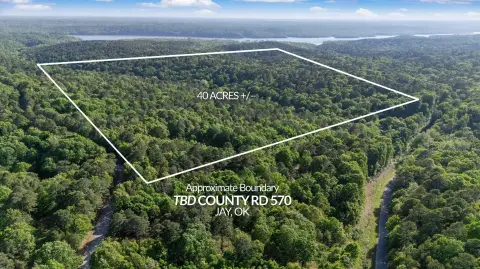 40 Acres Wooded Land Near Lake
