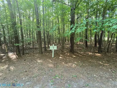 Cobbs Creek Wooded Land Parcel