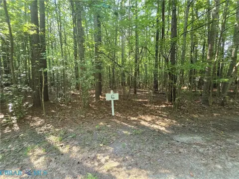 Cobbs Creek Wooded Land Parcel