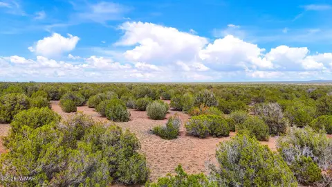 Agricultural Land With Multiple Build Sites