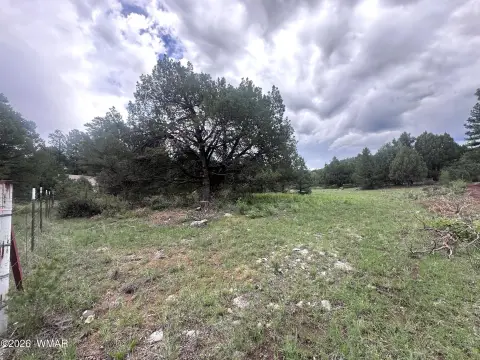 Mountain Home Lot with Pines