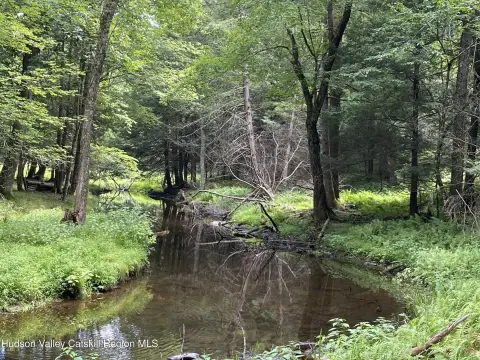 Accord, NY Land Opportunity