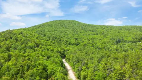 Wooded Land with Private Road Access