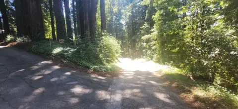 Forested Land Near Boulder Creek