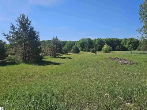 Partially Wooded Land