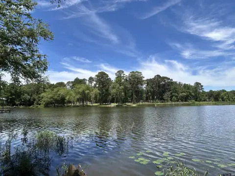 Lake Palestine Waterfront Lot
