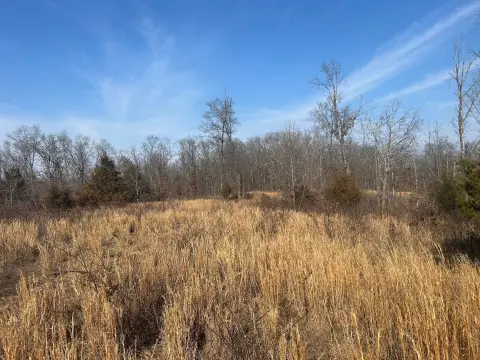 Hunting and Recreation Land Tract
