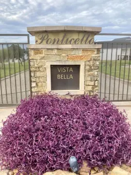 Galveston Dry Land Opportunity