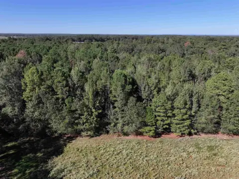 Horatio, AR Versatile Acreage