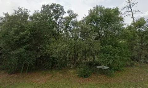 Corner Commercial Land