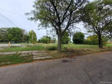 Residential Vacant Land in Detroit
