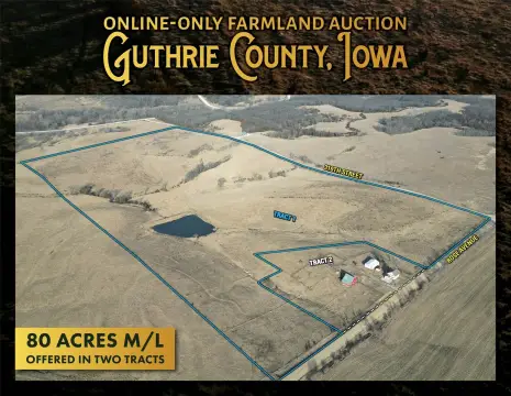 Pasture Ground North of Menlo, Iowa