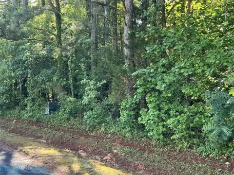 Wooded Lot in Locust Hill