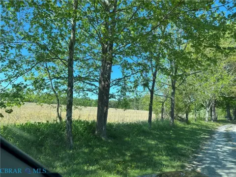 Wooded Acreage in Rural Setting