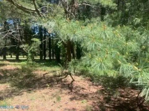 Wicomico, VA Land For Sale