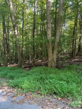 Recreational Hunting Land Parcel