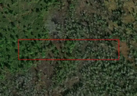 Two Acre Polk City Land