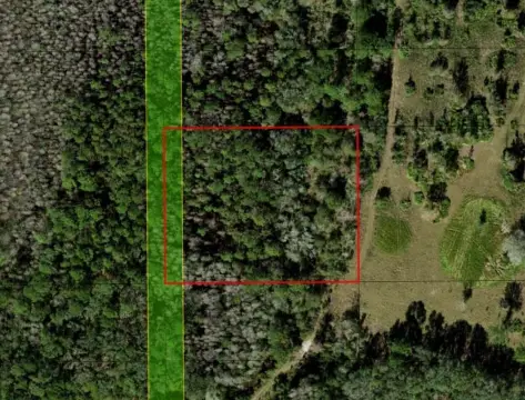 Two Acre Polk City Land