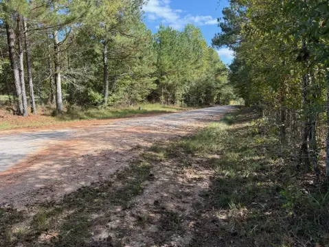 Greensboro, GA Vacant 1-Acre Lot