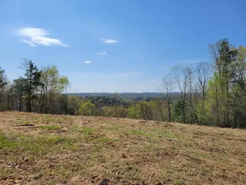 Recreational Hunting Land Tract