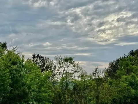 Ellijay Vacant Lot in Gated Community