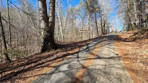 Wooded Lot Near Local Attractions