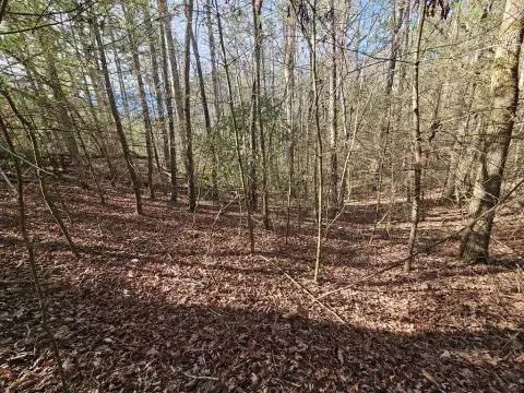 Ellijay Vacant Lot Opportunity