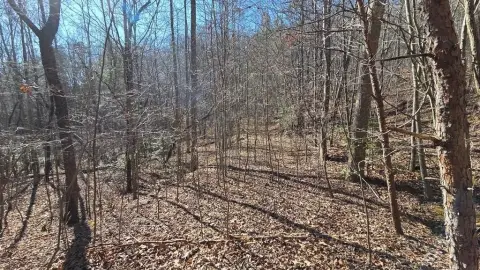 Wooded Lot Near Local Attractions