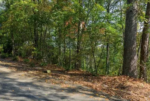 Mountain View Homesite in Ellijay