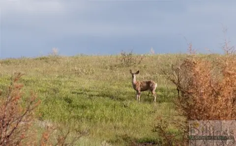 Land in Huntley, Montana