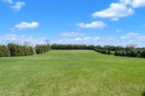 Residential Land in Lynn Center
