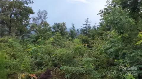 Land Near Yellowtop Mountain Estates