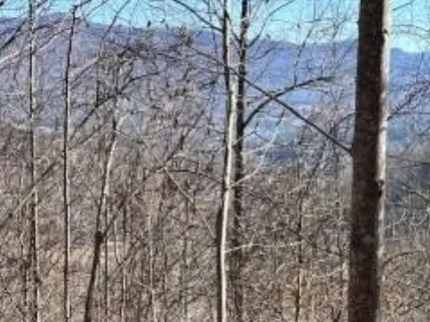 Hiawassee Vacant Lot with Views