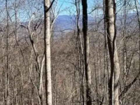 Hiawassee Vacant Lot with Views