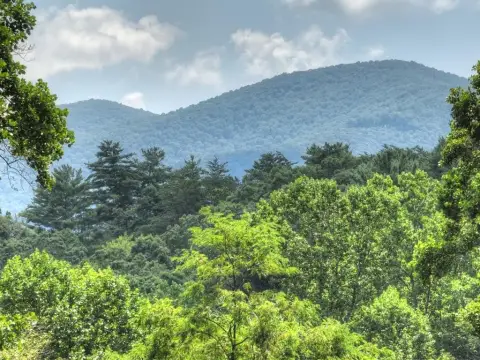 Ellijay Homesite with Mountain Views