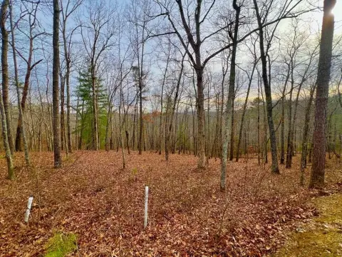 Residential Lot Near Carters Lake