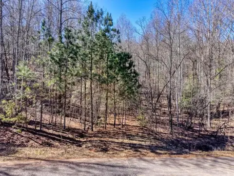 Mountain View Lot in Blairsville
