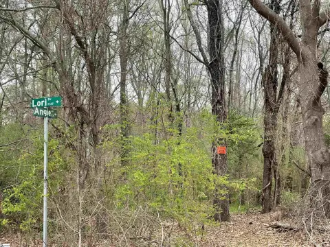 Simpsonville Acreage in Five Forks