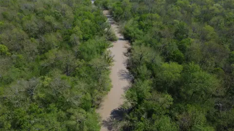 Hunting Land with Sulphur River Frontage