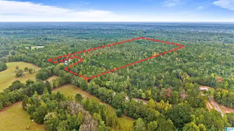 Forested Agricultural Land
