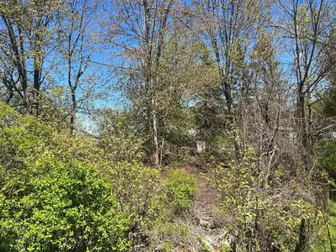 Double Lot Near Houghton Lake
