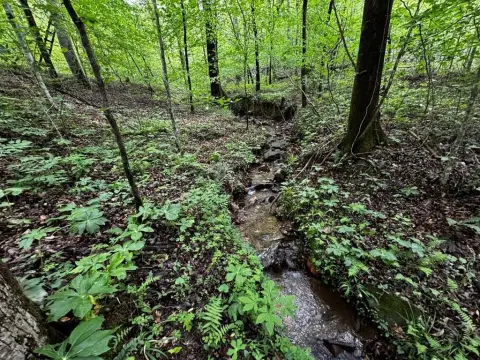 Unrestricted Land in Talking Rock